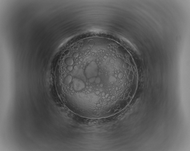X0000110700776200906191527