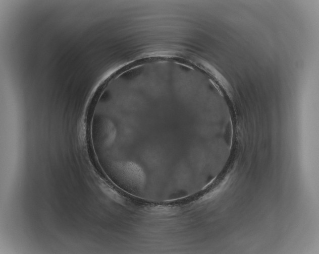 X0000110700779200906191526
