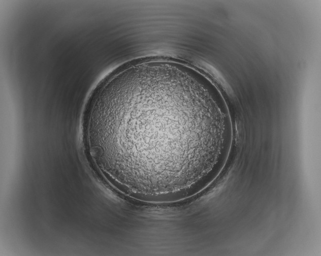 X0000110700780200906191526