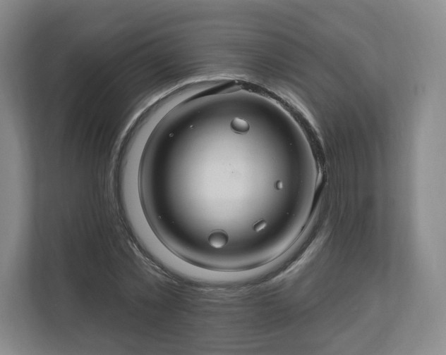 X0000110700781200906191526