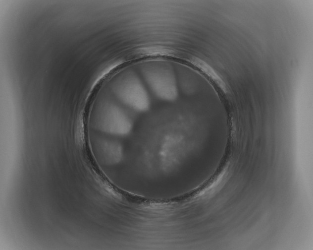 X0000110700782200906191526