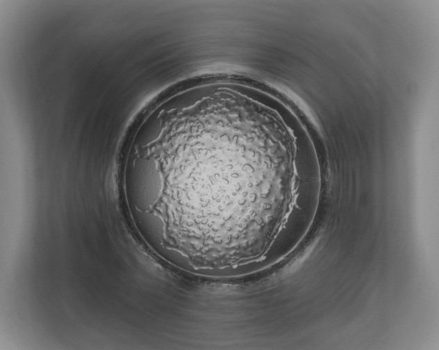 X0000110700783200906191526
