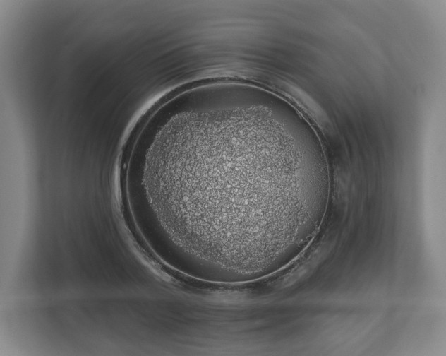 X0000110700788200906191526