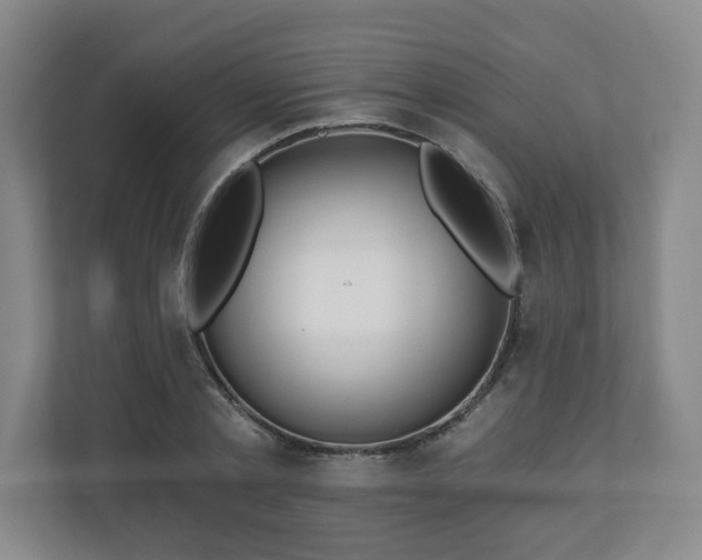 X0000110700789200906191526