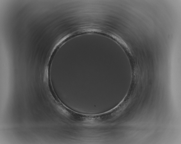 X0000110700790200906191526