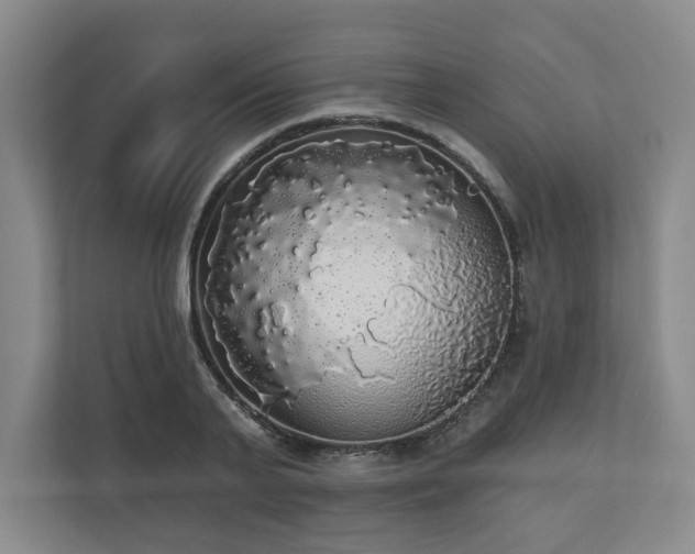 X0000110700791200906191526