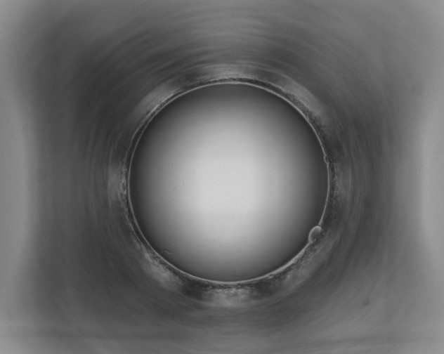 X0000110700793200906191526