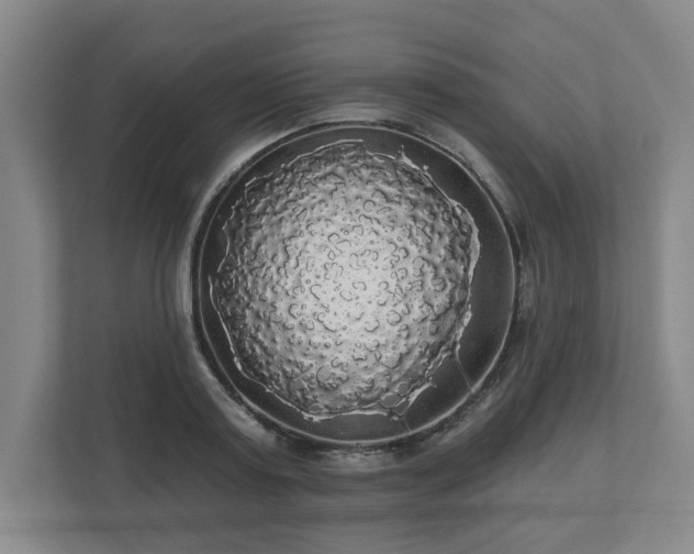 X0000110700795200906191526