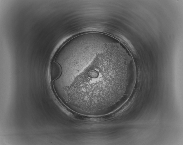 X0000110700796200906191526