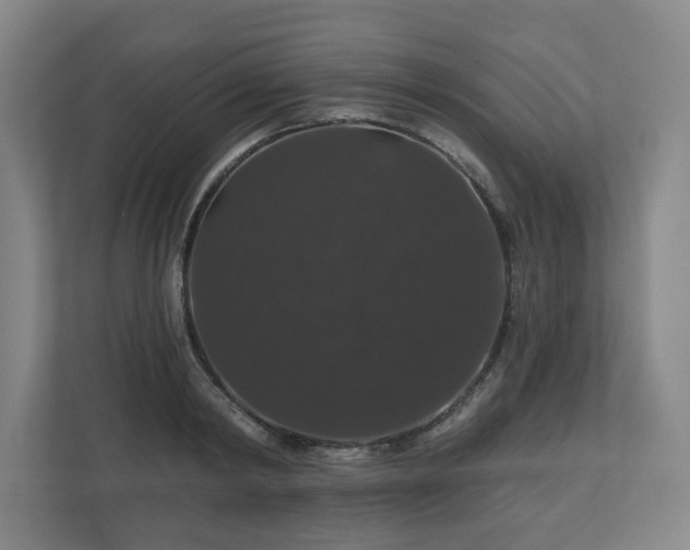 X0000110700798200906191526