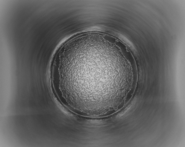 X0000110700800200906191526