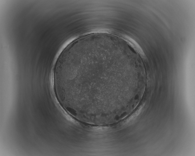 X0000110700804200906191526