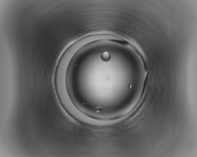X0000110700805200906191526
