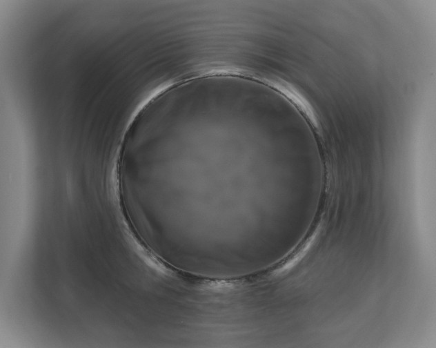 X0000110700806200906191526