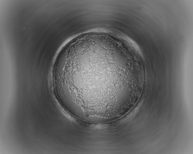 X0000110700808200906191526