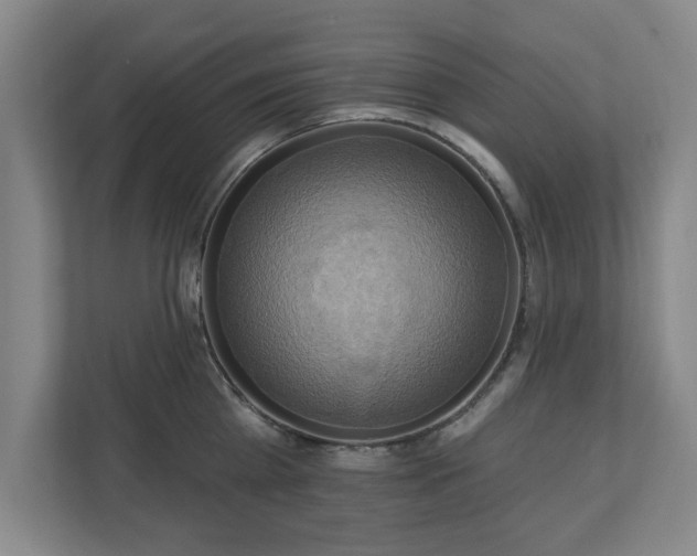 X0000110700809200906191526