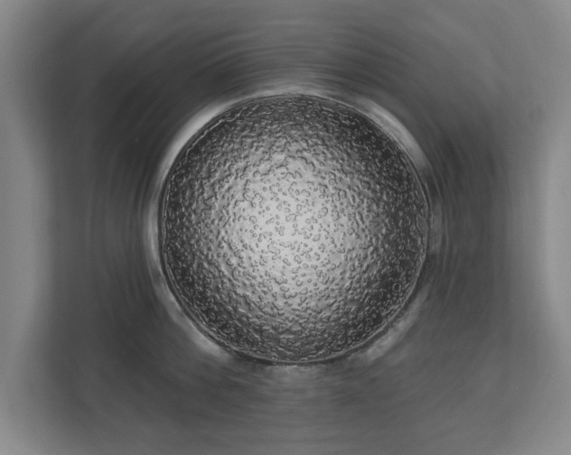 X0000110700812200906191526