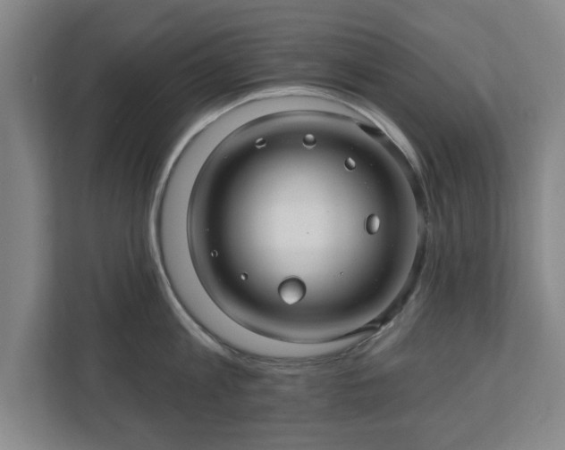 X0000110700813200906191526
