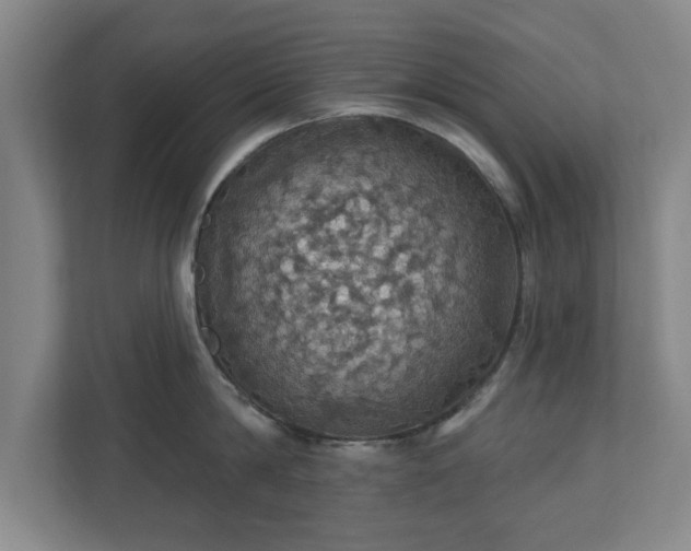 X0000110700814200906191526