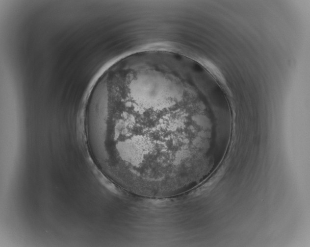 X0000110700816200906191526