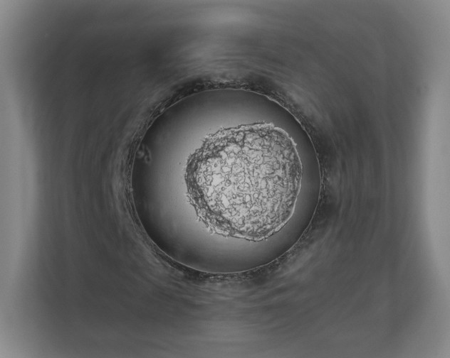 X0000110700817200906191525