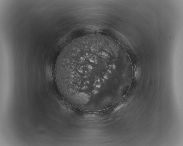 X0000110700819200906191525