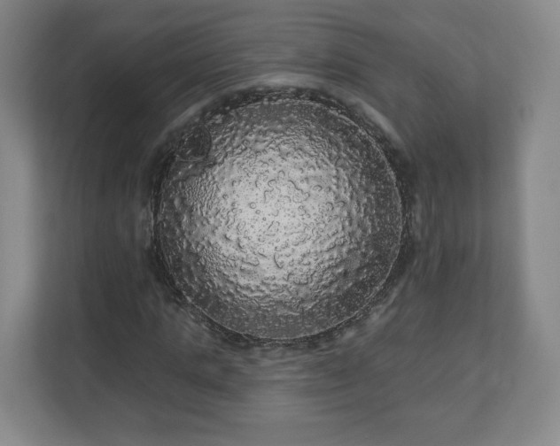 X0000110700821200906191525
