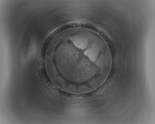 X0000110700822200906191525