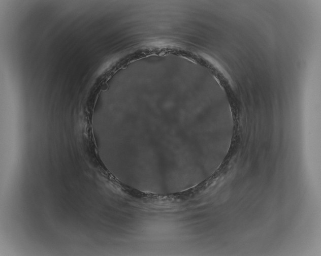 X0000110700823200906191525