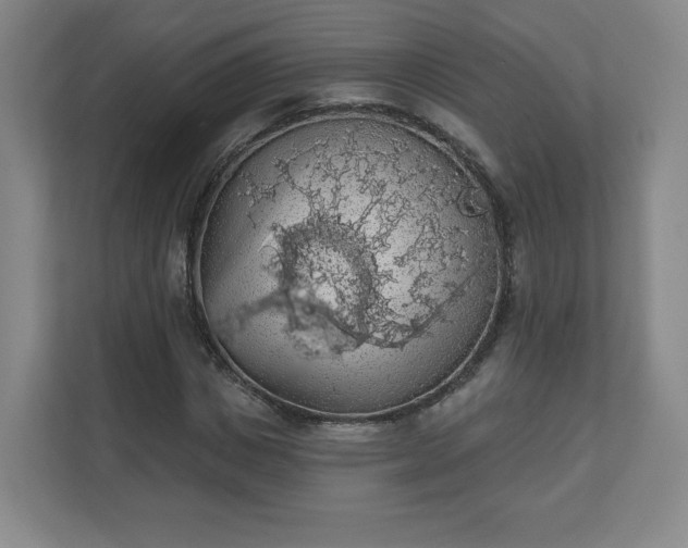 X0000110700825200906191525