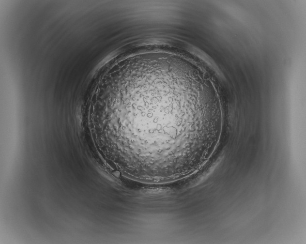 X0000110700826200906191525