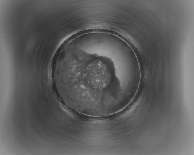X0000110700830200906191526