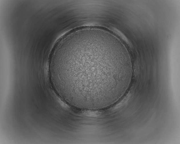 X0000110700831200906191526