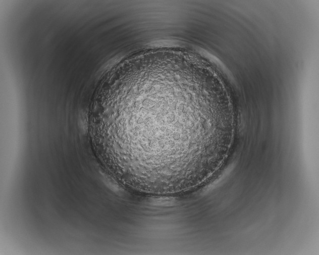 X0000110700833200906191526