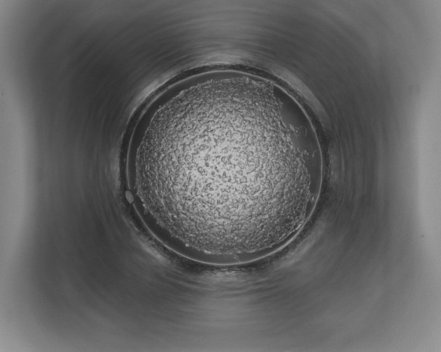 X0000110700834200906191526