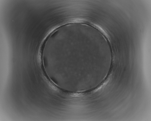 X0000110700835200906191526
