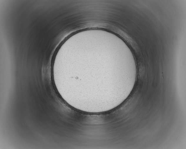 X0000110700836200906191526
