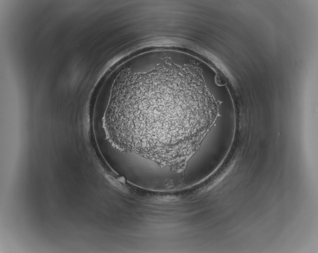 X0000110700837200906191526