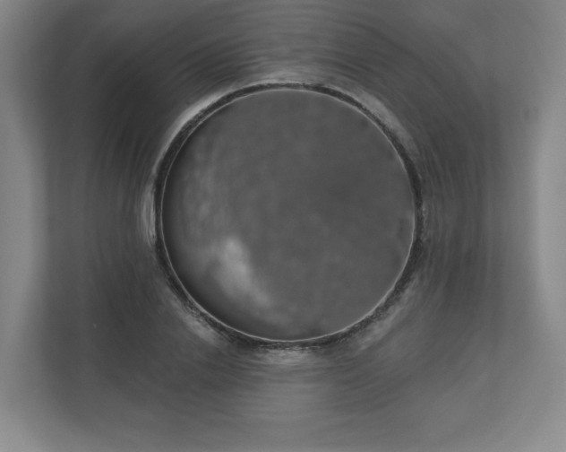 X0000110700838200906191526