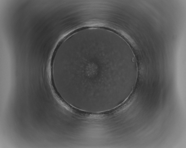 X0000110700840200906191526