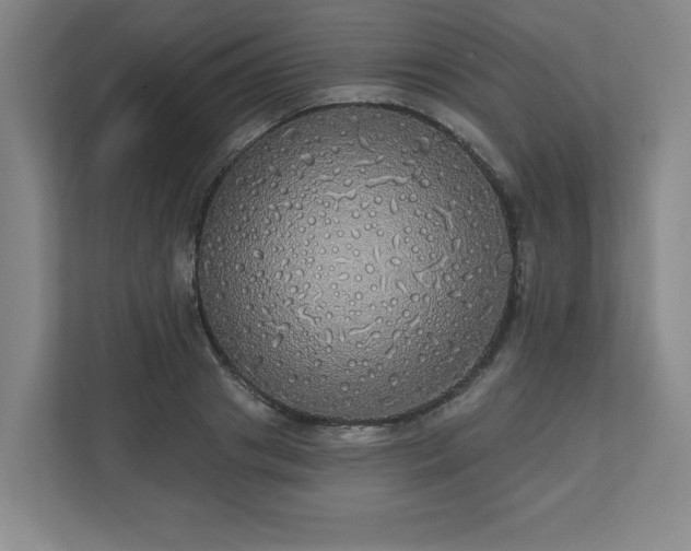 X0000110700841200906191526