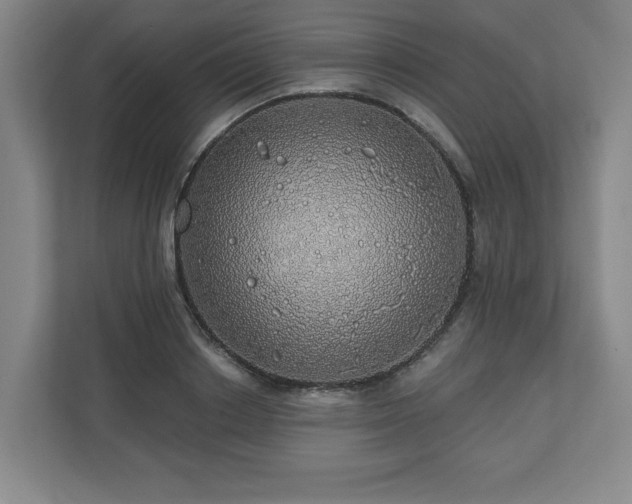 X0000110700842200906191526