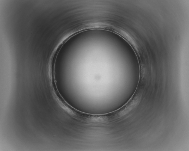 X0000110700843200906191526