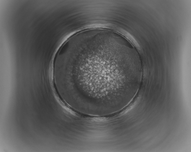 X0000110700844200906191526