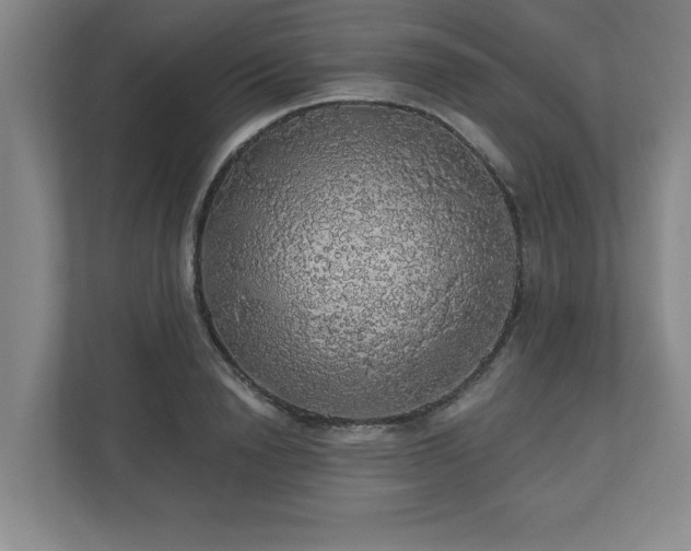 X0000110700846200906191526