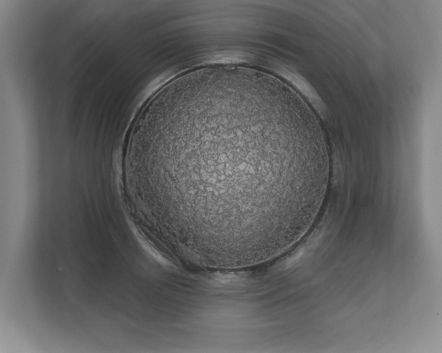 X0000110700850200906191526
