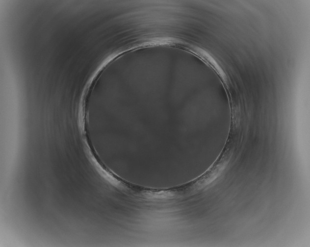 X0000110700851200906191526