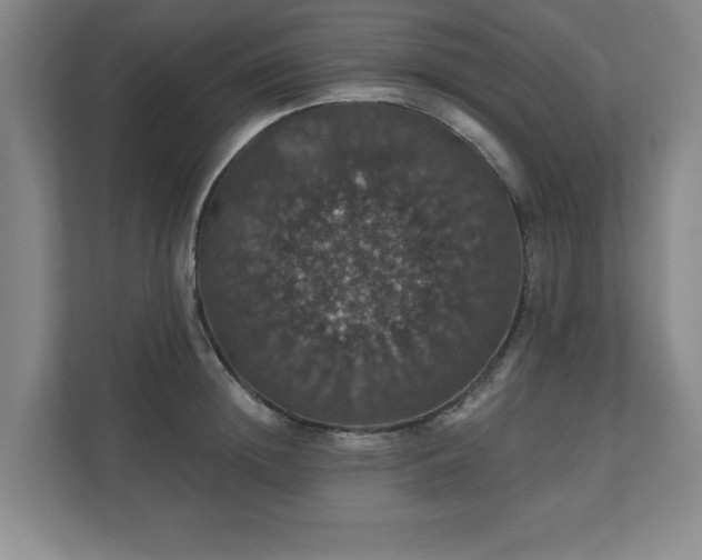 X0000110700852200906191526
