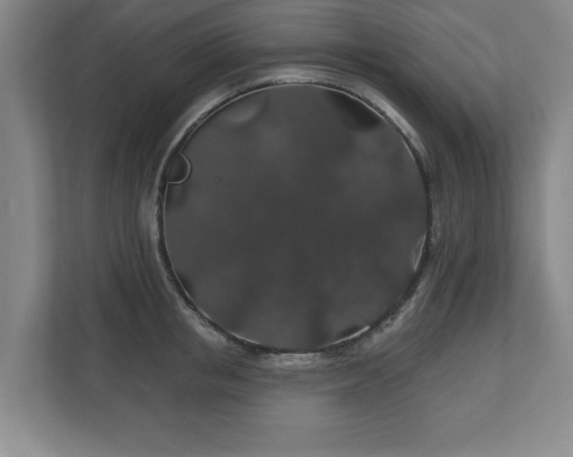 X0000110700853200906191526