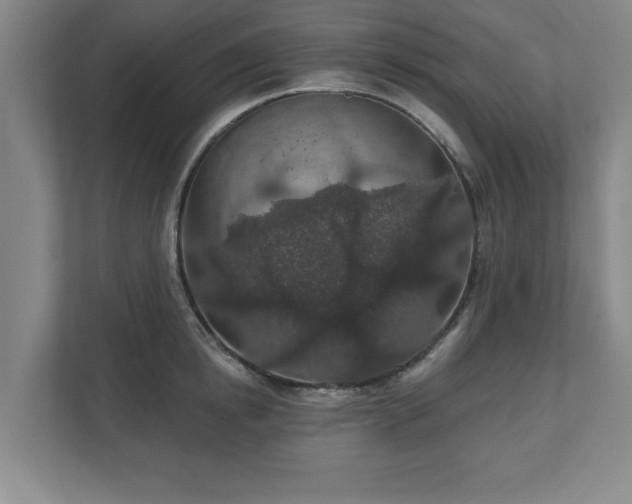 X0000110700854200906191526